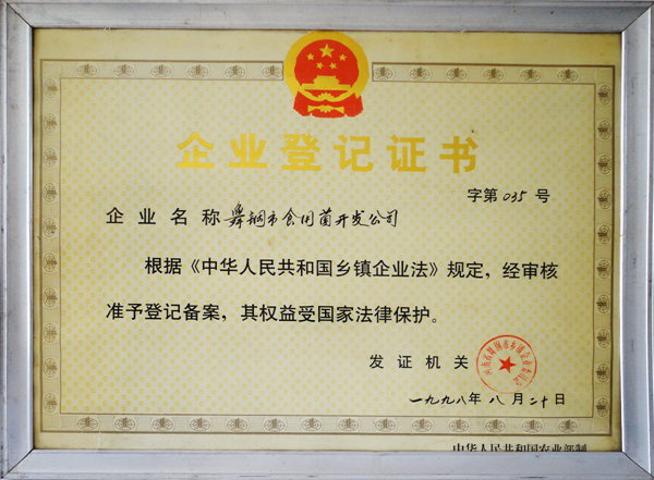 企业登记证书